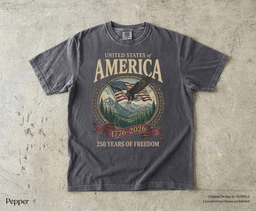 America 250th Anniversary 90s Comfort Colors Y2k Oversized Patriotic Usa Streetwear (1)