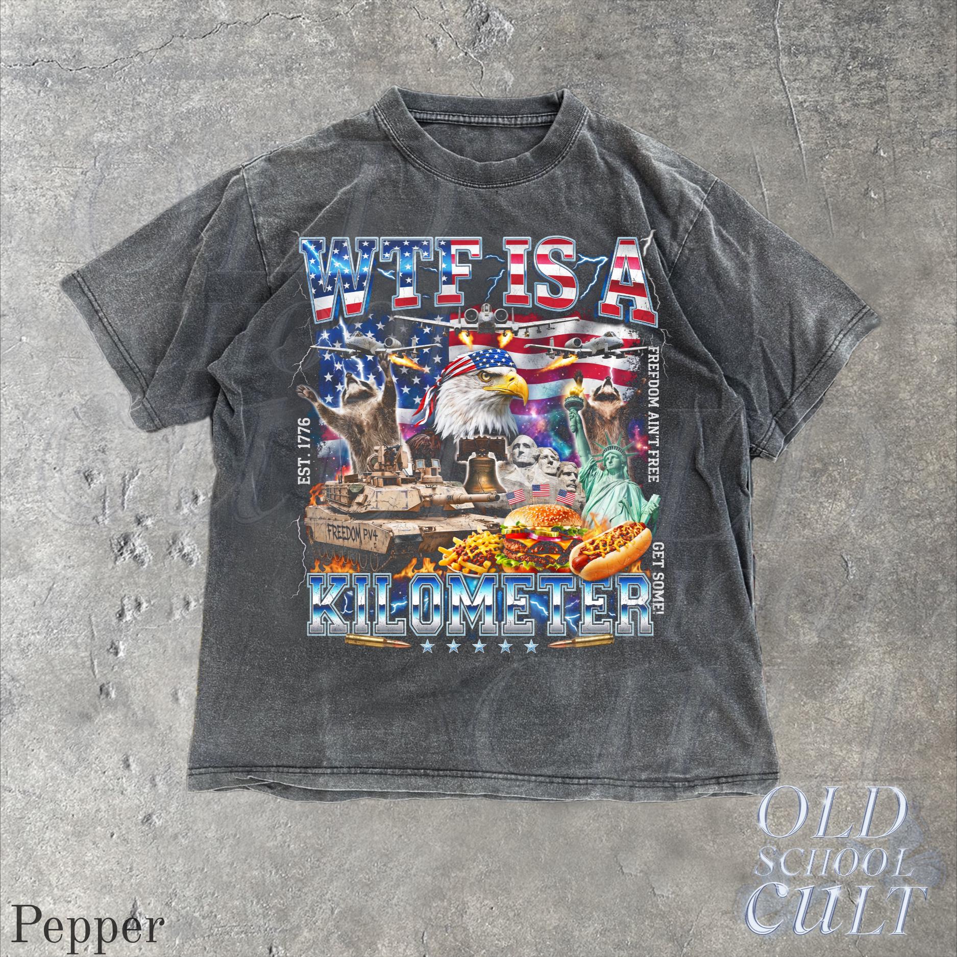 Wtf Kilometer Usa Patriotic Vintage American Eagle Meme 4th July Retro Freedom (3)