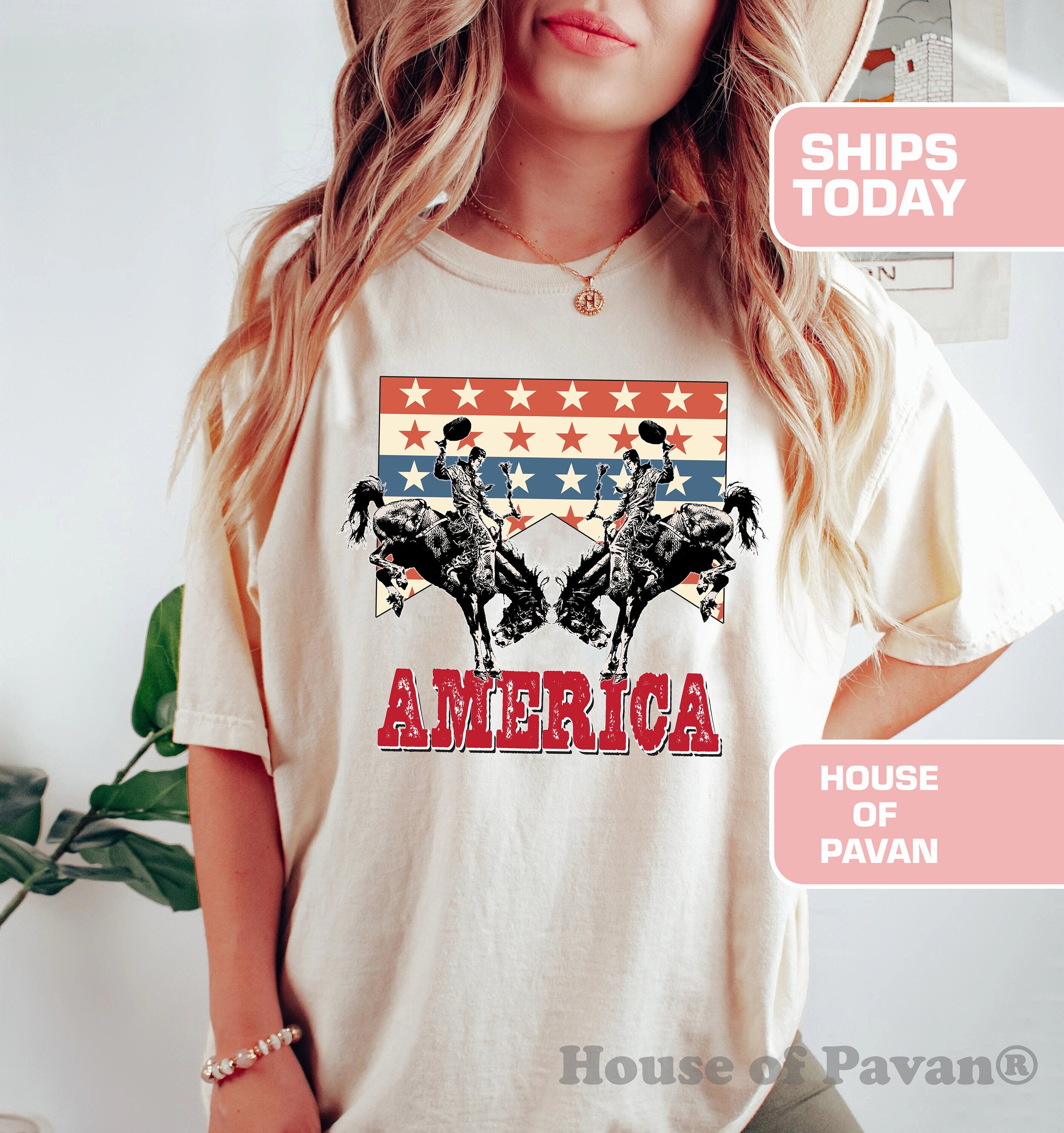 Western American Rodeo Comfort Colors Vintage Inspired Tee Western Western Country Music (4)