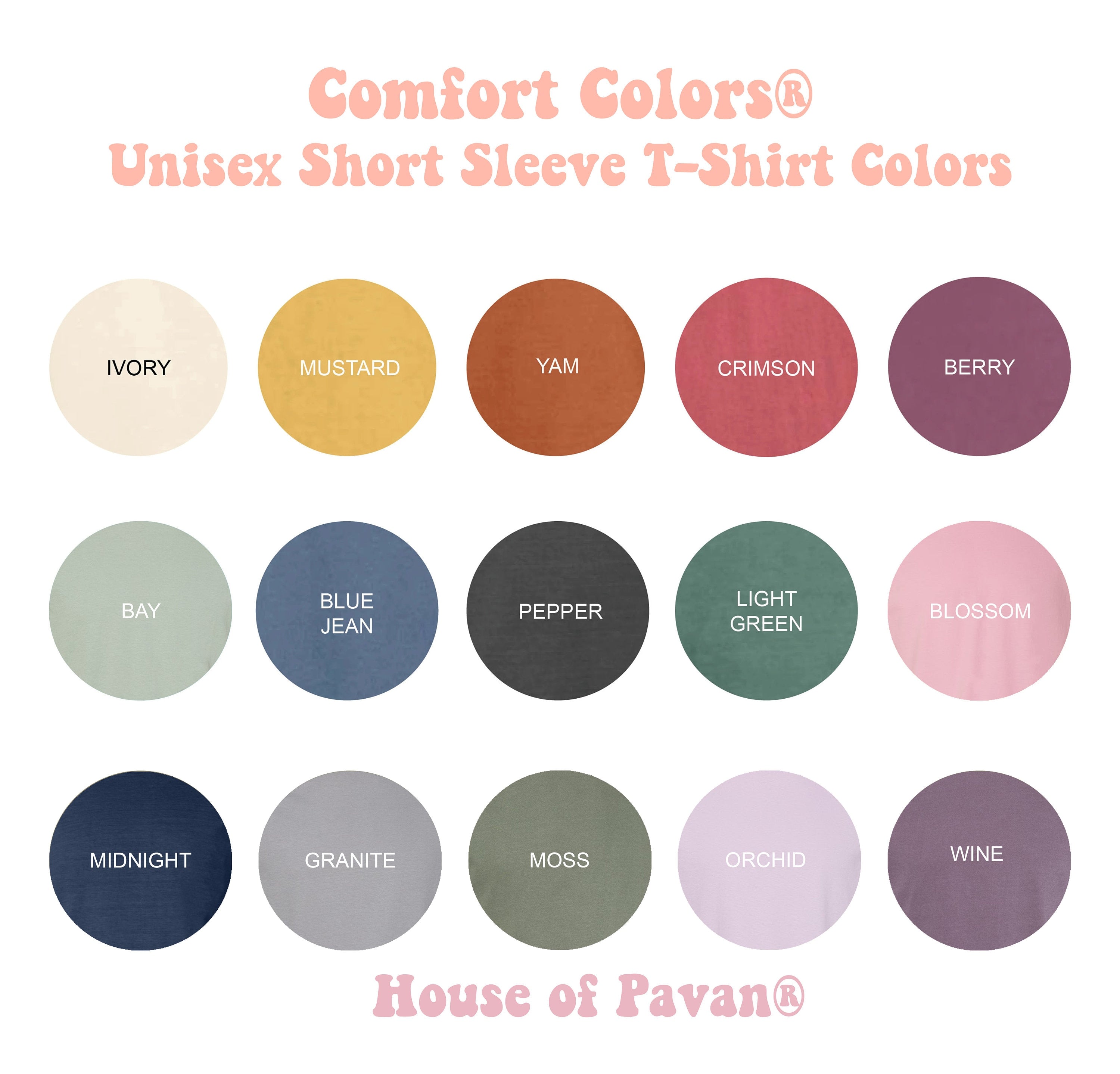 Western American Rodeo Comfort Colors Vintage Inspired Tee Western Western Country Music (5)