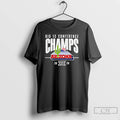 Classic Arizona Wildcats 2026 Big 12 Conference Champs