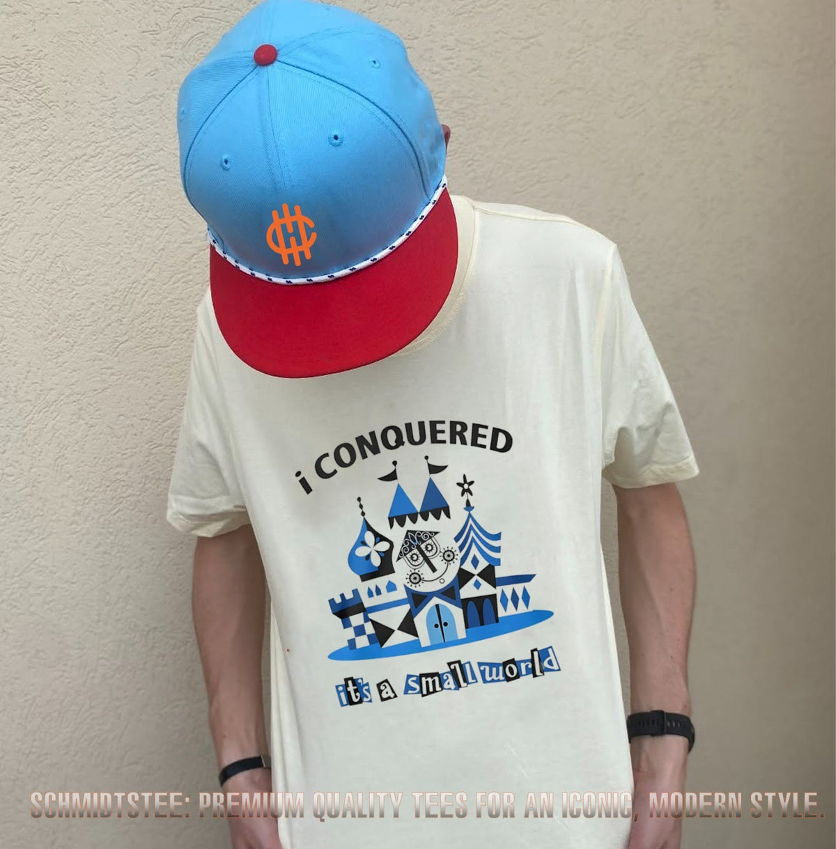 I conquered it’s a small world shirt