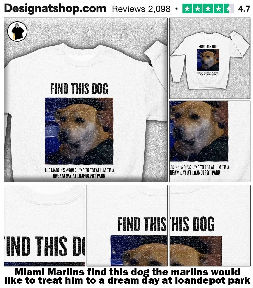Miami Marlins find this dog the marlins would like to treat him to a dream day at loandepot park shirt