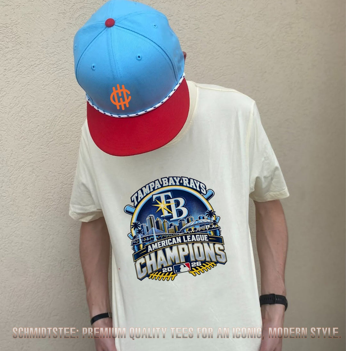 Tampa Bay Rays 2026 American League Champions city skyline shirt