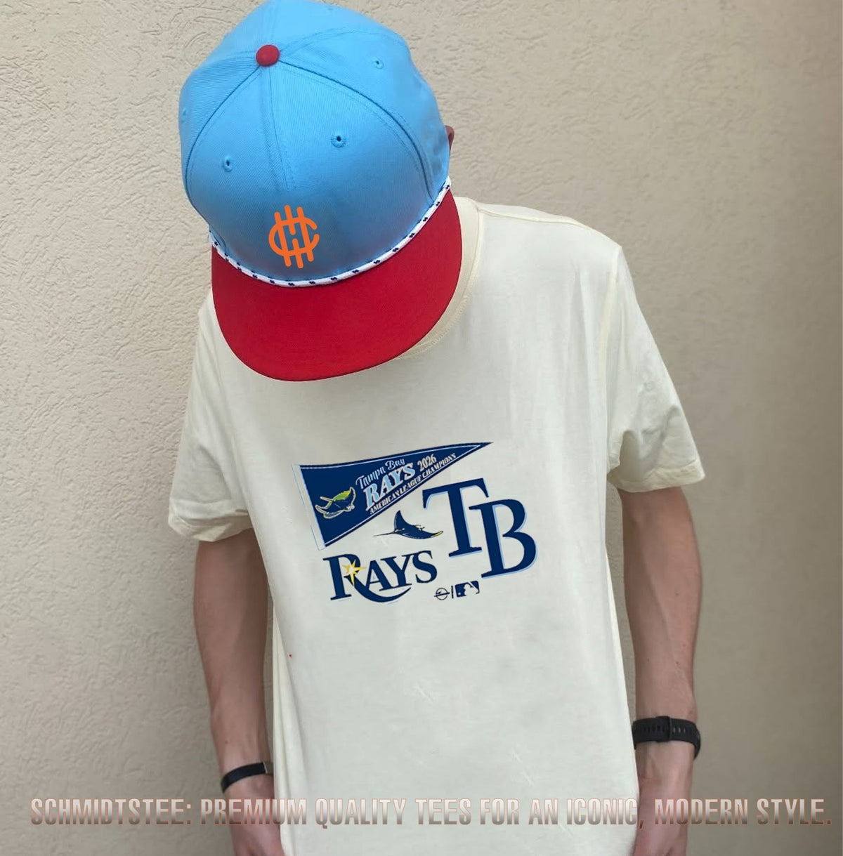 Tampa Bay Rays 2026 American League Champions flag logo shirt
