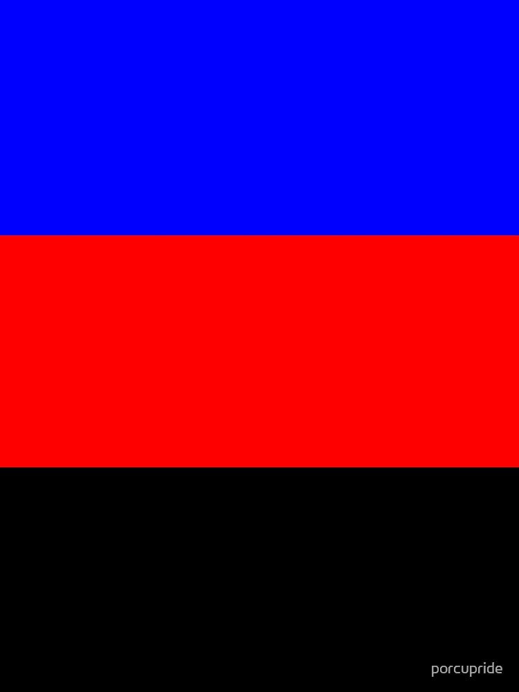 Polyamorous Pride Flag by porcupride