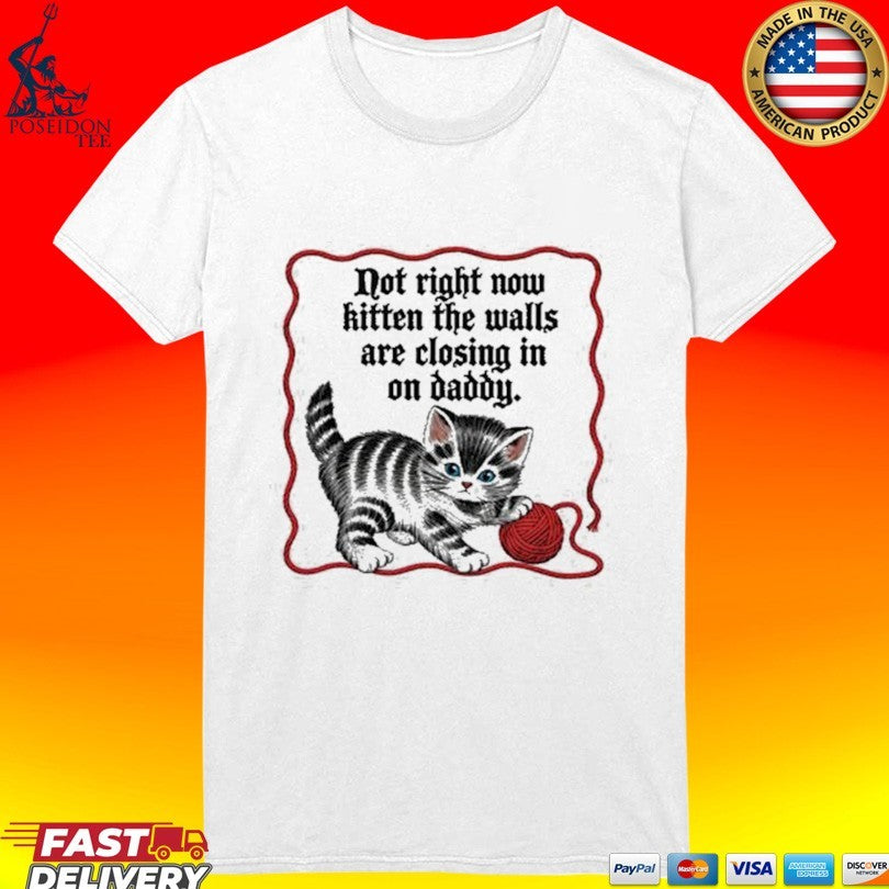 Not Right Now Kitten The Walls Are Closing In On Daddy T-shirt