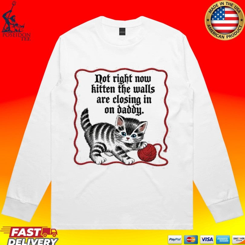 Not Right Now Kitten The Walls Are Closing In On Daddy T-shirt