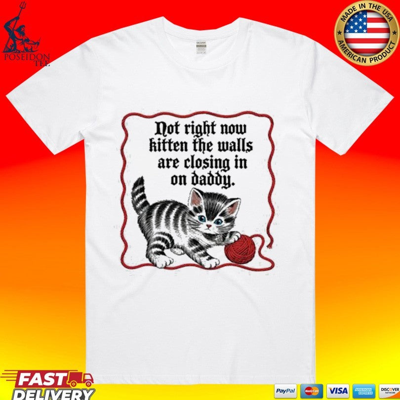 Not Right Now Kitten The Walls Are Closing In On Daddy T-shirt