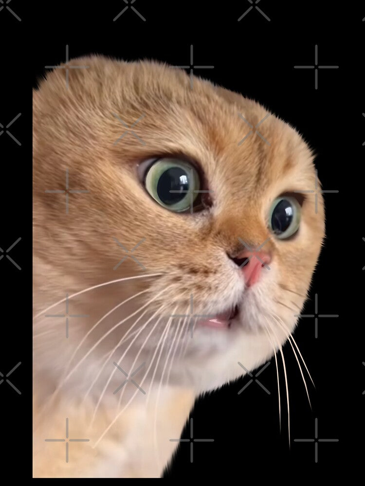 Cat boyfriend meme, 2 cat couple meme by Prime_Store