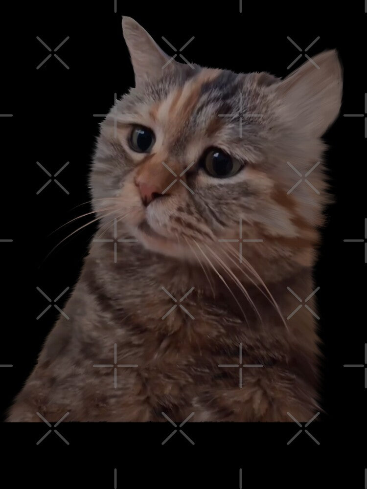 Sad kitty cat Meme by Prime_Store