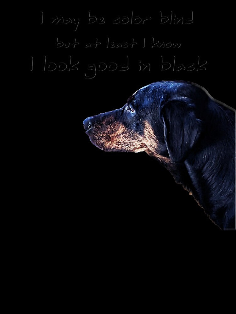 colorblind by TerryJonesIs5-8