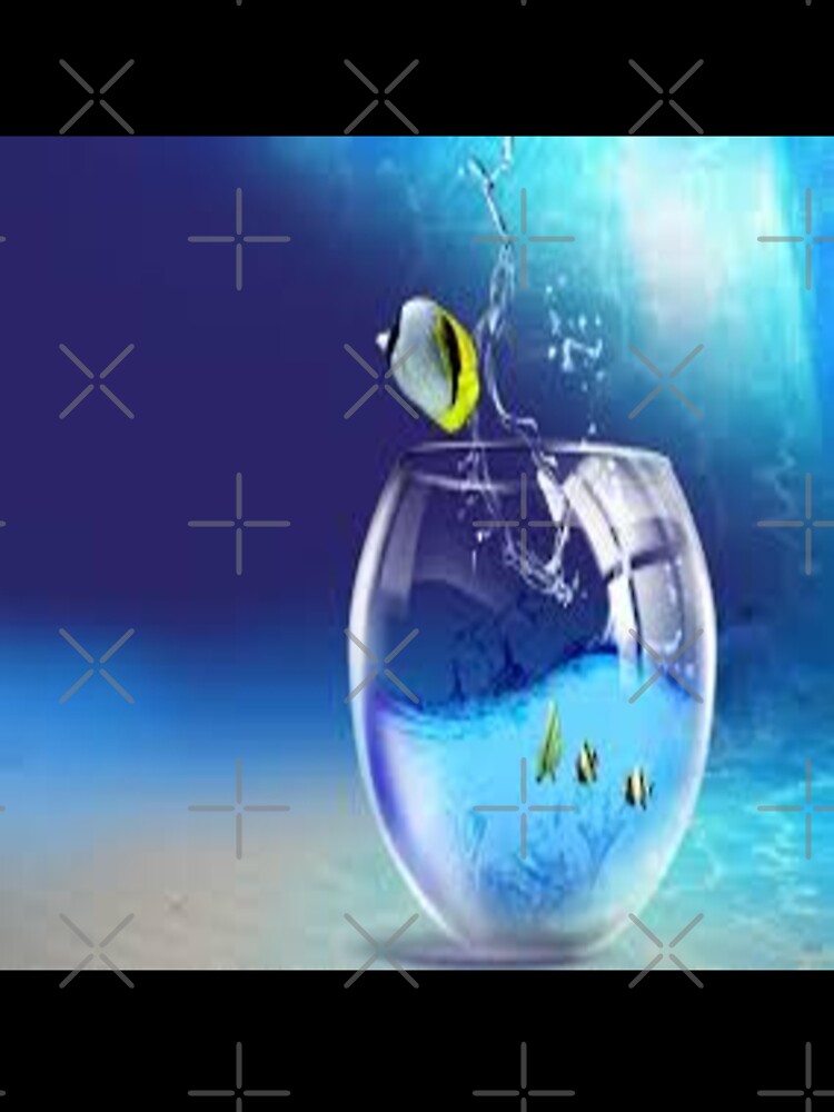 Fishes With Glass by Sameer Shrivastava