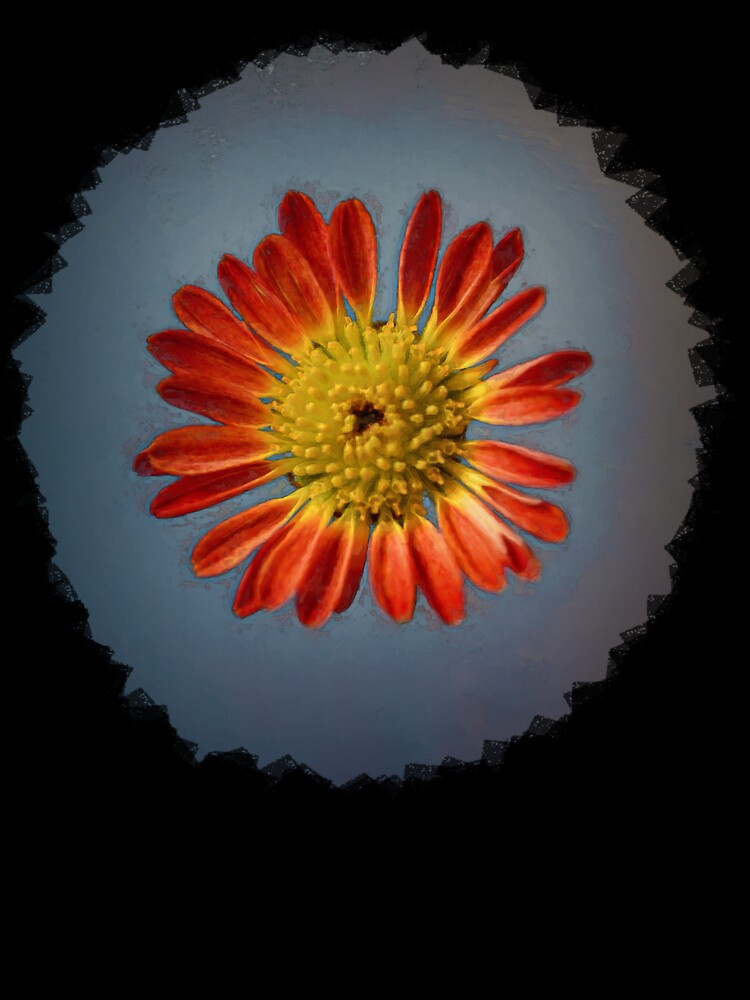 Orange And Yellow Daisy In A Grunge Style by Heathermarie321