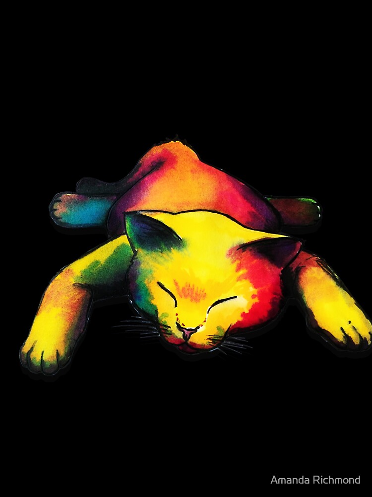 Lazy Day, Snoozing Cat by Amanda Richmond