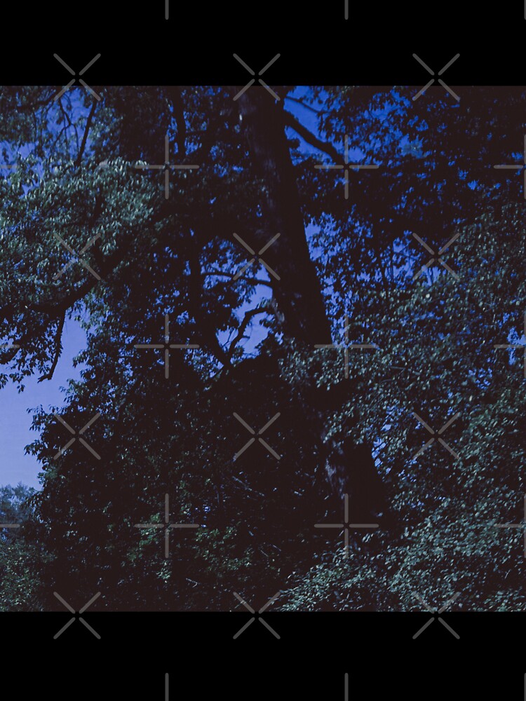 vintage dazecore forest by sielexis