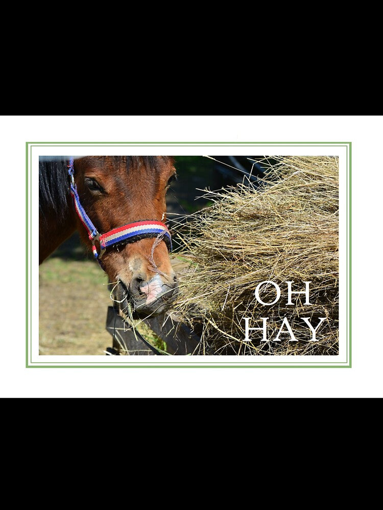 HAY IS FOR HORSES by cityette
