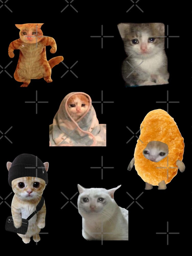 Crying Cat Pack, Pack of 6 Meme Crying Cat , for cat lovers, meme lovers by Stevenobinsun