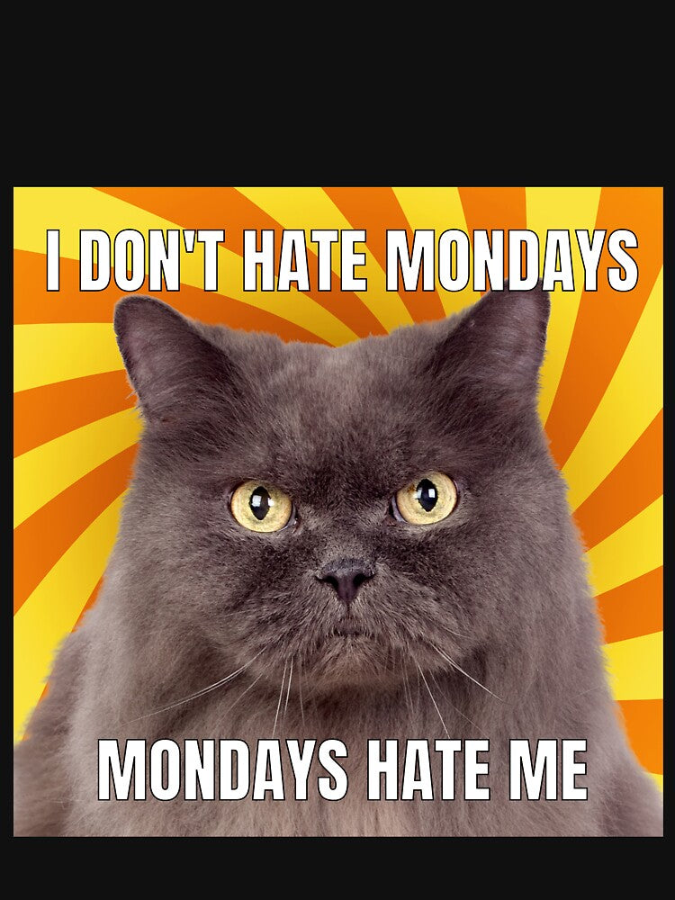 I dont Hate Mondays, Mondays hate me Cat Meme Funny Cool by popotamfriends