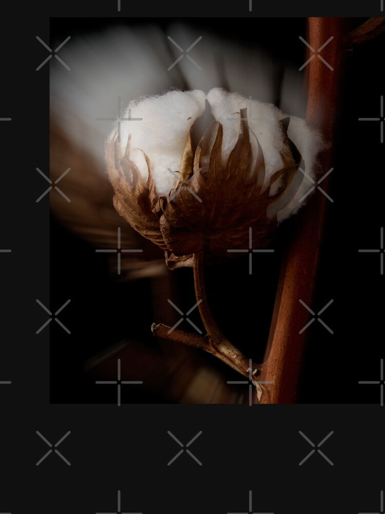 cotton flower by IgorKovalenko