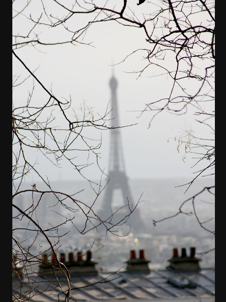 Hiding in plain sight by Photodecora