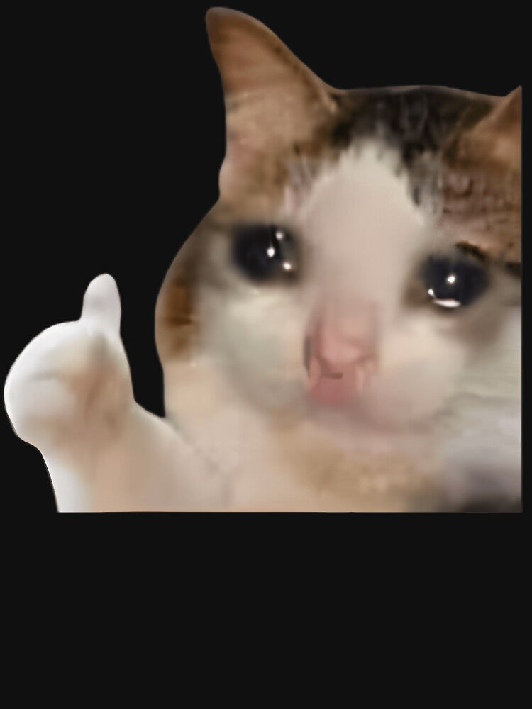 Thumbs Up Crying Cat Meme T-Shirt by vsropatn