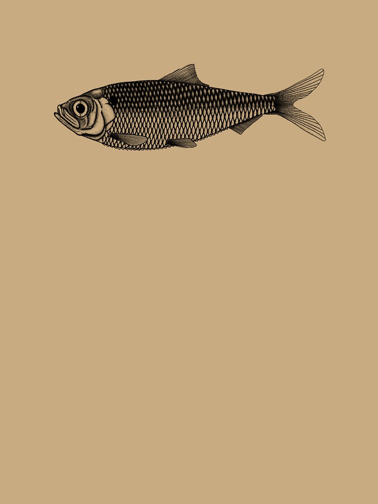 Alewife by rmnicholsart