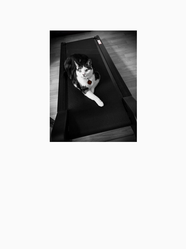 Cat on Treadmill by Toftneln