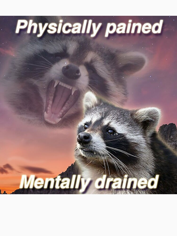 Racoon Meme by Greg Heffley