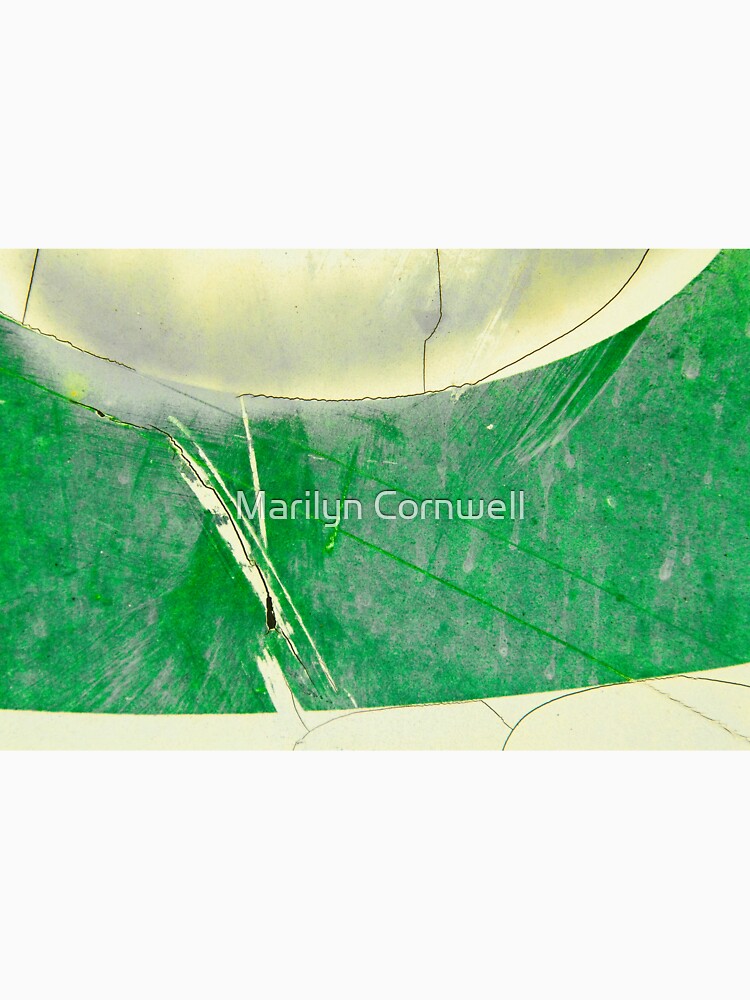 First Contact by Marilyn Cornwell