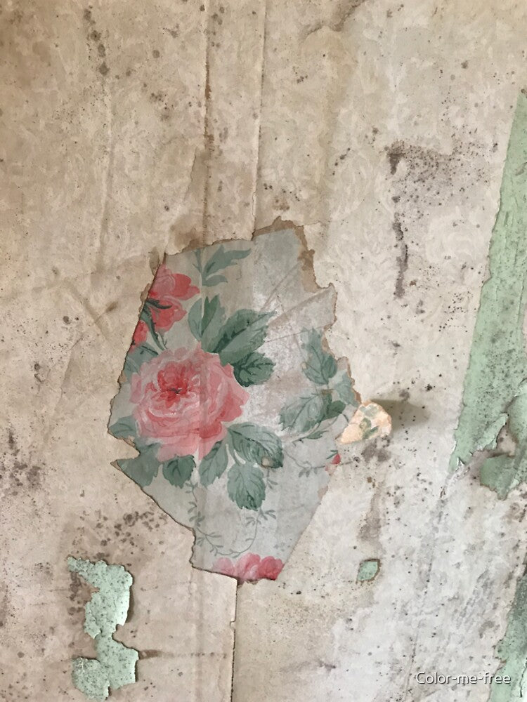 Roses on a Wall by Color-me-free