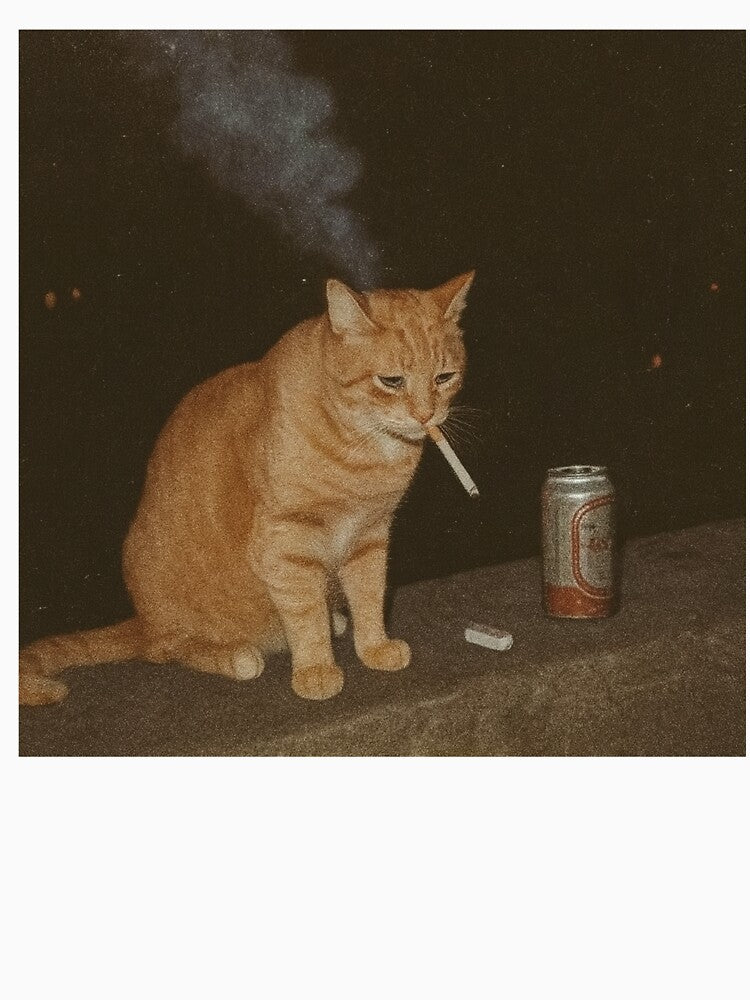 Funny Smoking Cat Meme by AShanDome