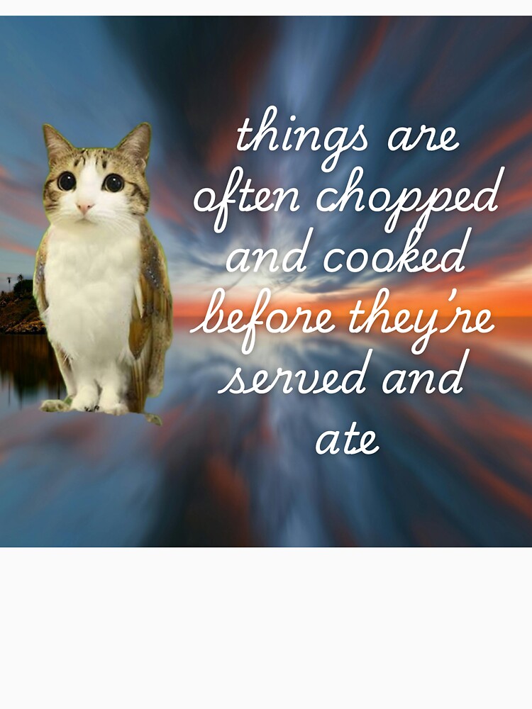 owlcat wisdom meme  v2 by strwbrymoonbow