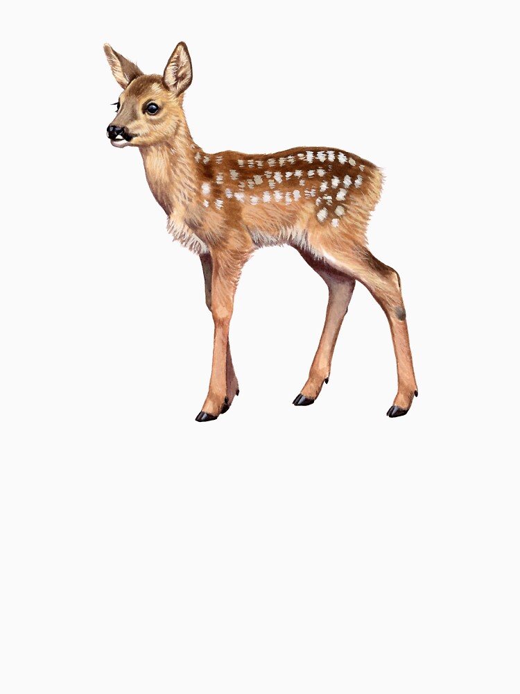 Roe Deer fawn by kokayart