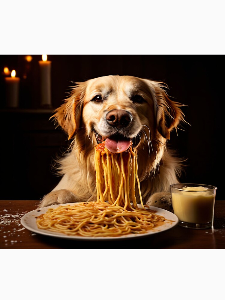 Mon chien quand il découvre un nouveau plat ! by Collection de trésors