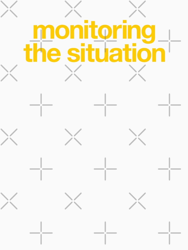 Monitoring the Situation by The Common Tee