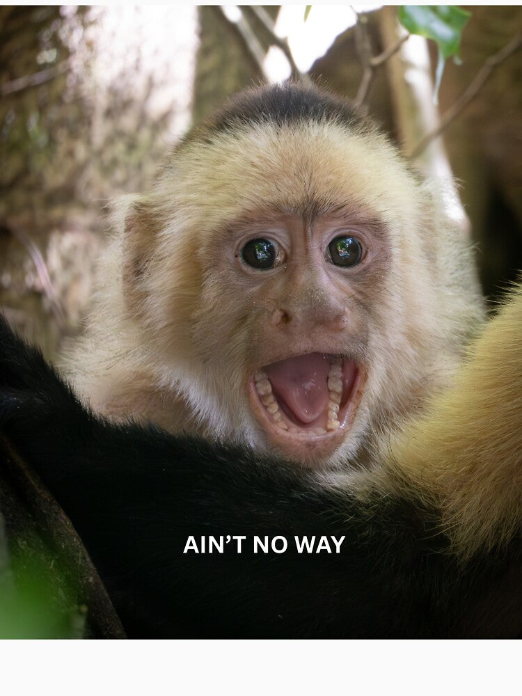 Aint No Way Monkey Meme Funny Reaction Meme Shocked Viral Meme by WildFrameNature