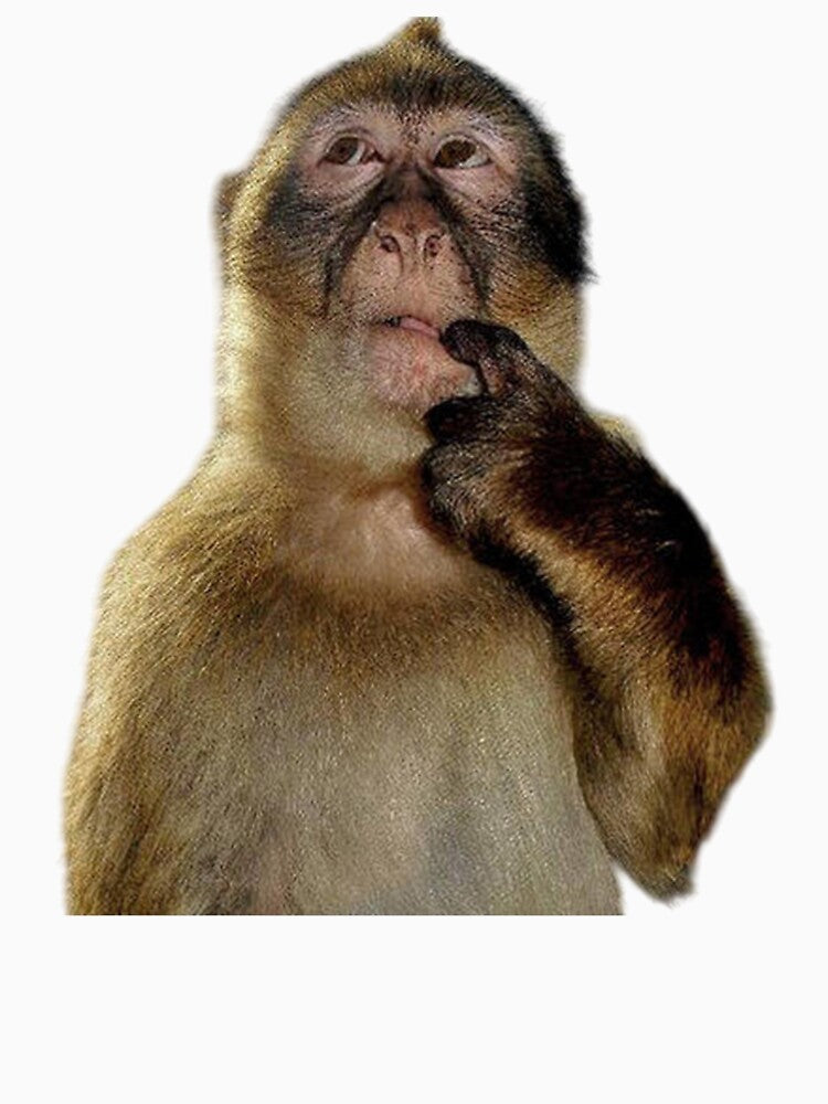 Thinking Monkey Meme Funny Shirt by Benjamstudio