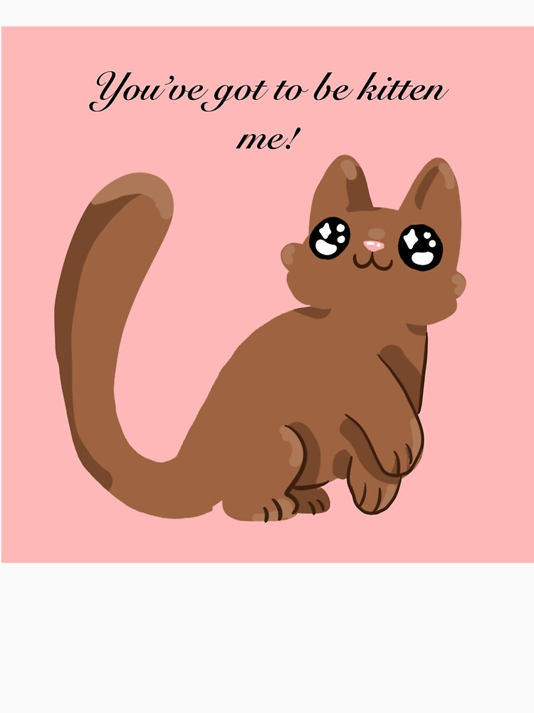 You’ve got to be kitten me! by Koalaclouds