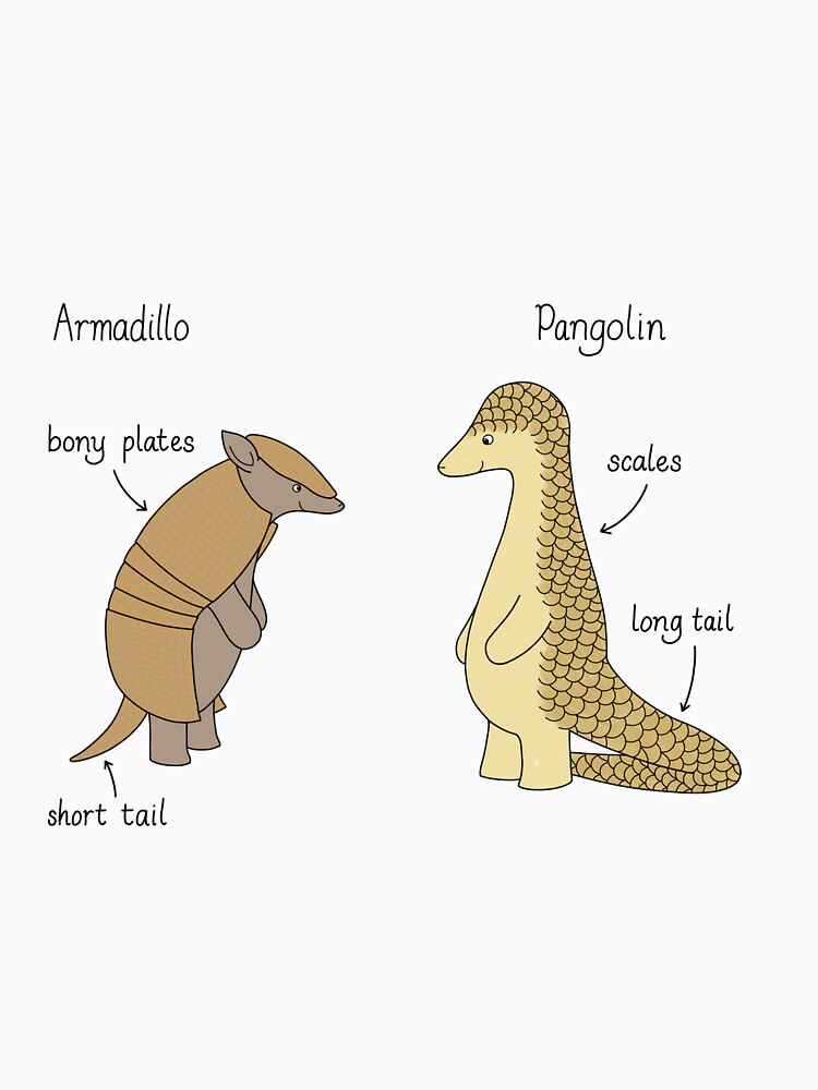 Armadillo or pangolin? by RachelLShaw