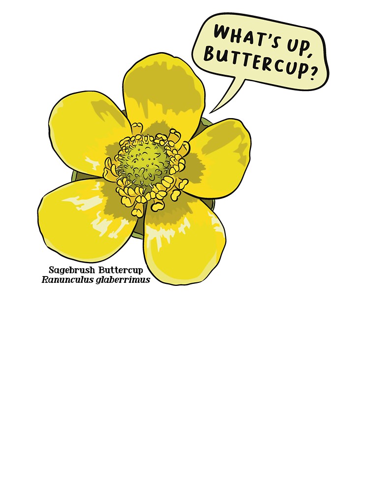 Whats up, Buttercup? by Camplight Creative