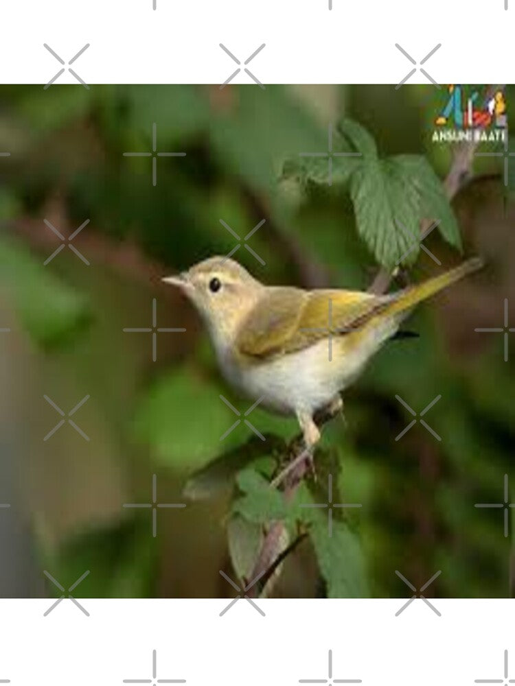 A Beautiful Bird Design by Sameer Shrivastava