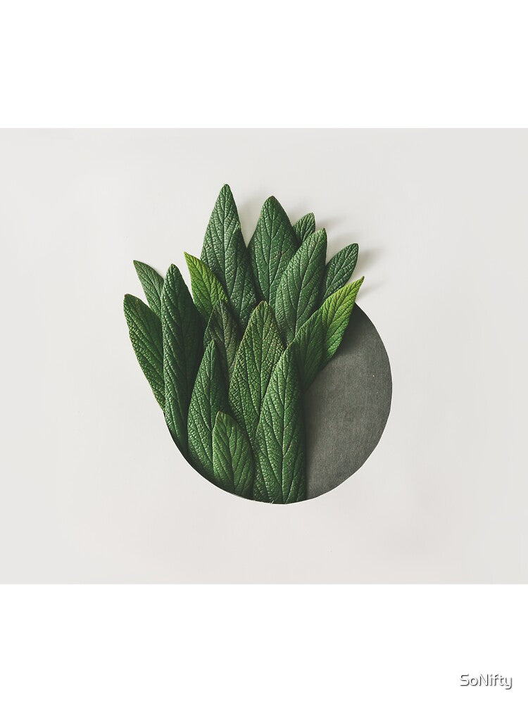 Pop Art Plant by SoNifty
