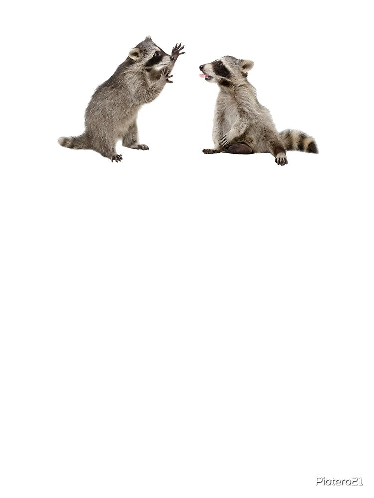 Raccoon by Piotero21