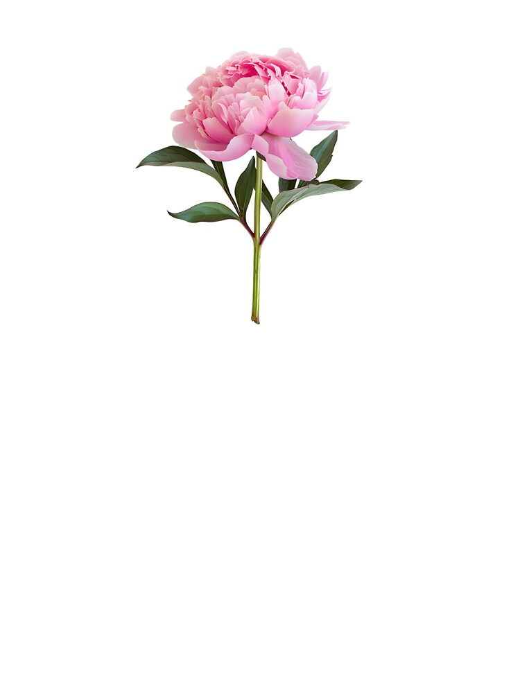 Italian peony by FLORASIO.OFF