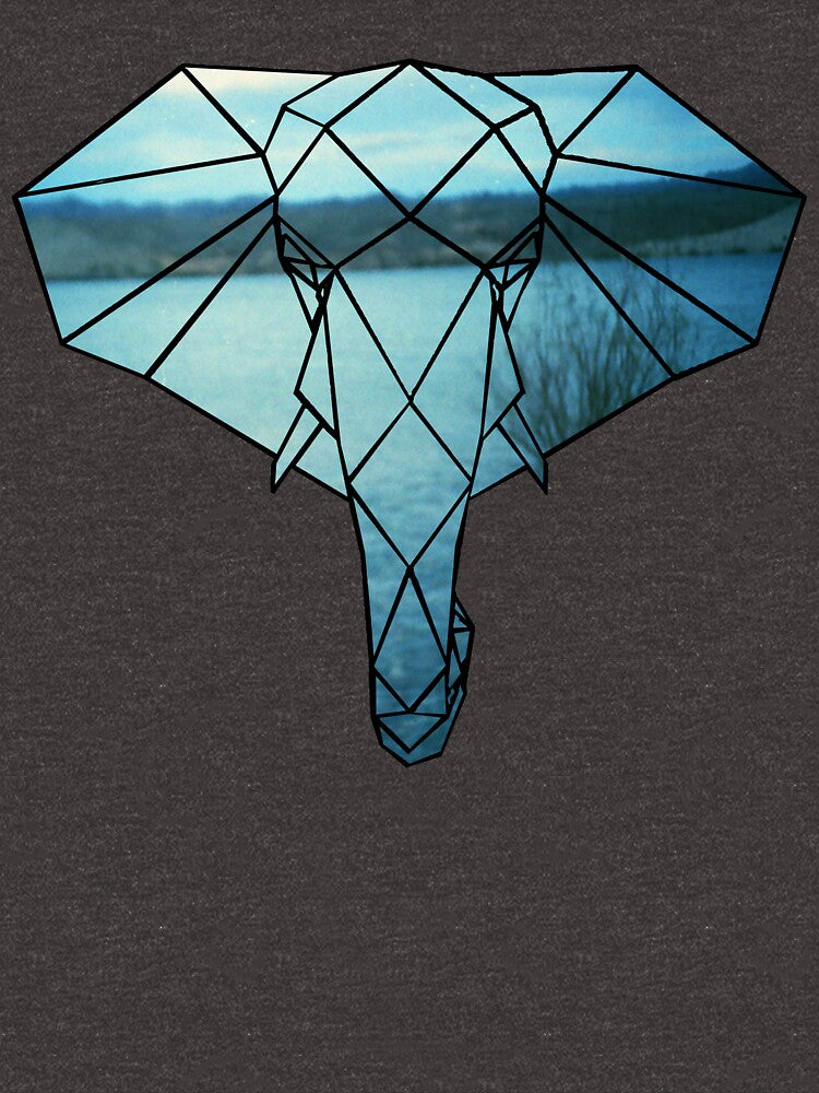 Elephant Line Geometry (Lake Bed) by KineticZen
