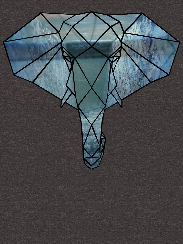 Elephant Line Geometry (Abandoned Zoo) by KineticZen