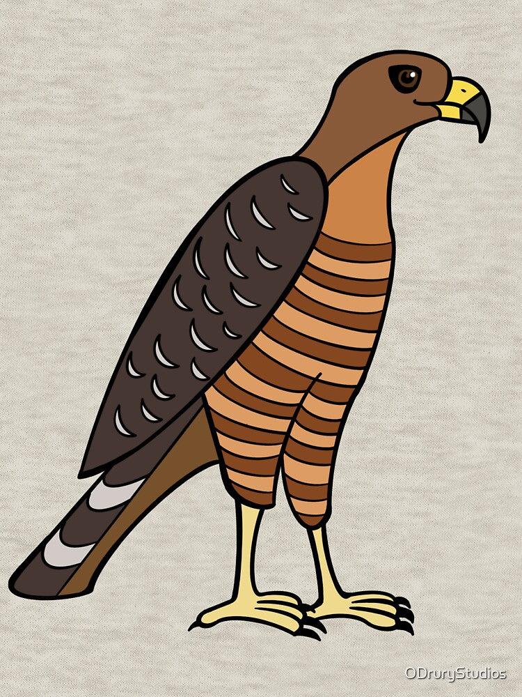 Red Shouldered Hawk by ODruryStudios