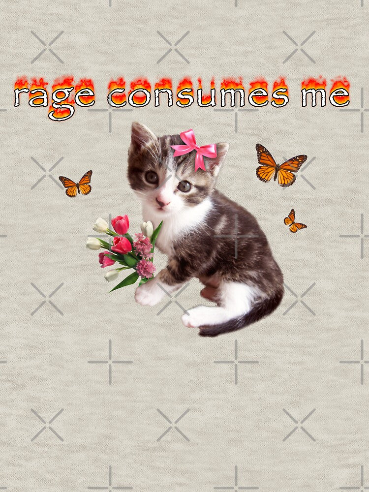rage consumes me cat meme by snazzyseagull