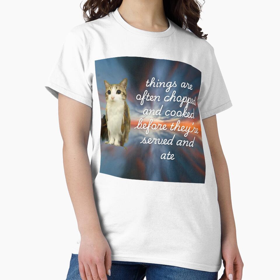 owlcat wisdom meme  v2 by strwbrymoonbow
